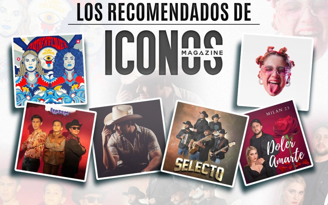 LOS RECOMENDADOS DE ICONOS